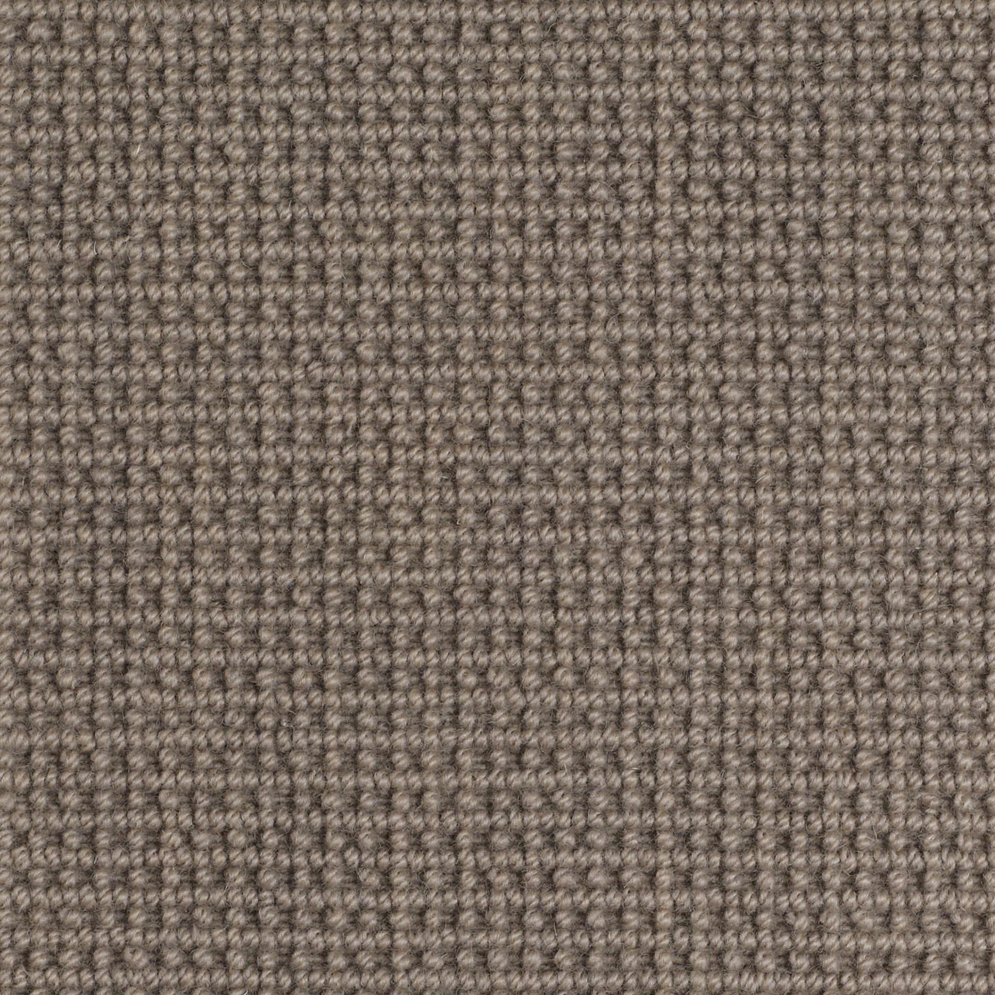 Grand Piazza: San Marco - 100% Wool Carpet