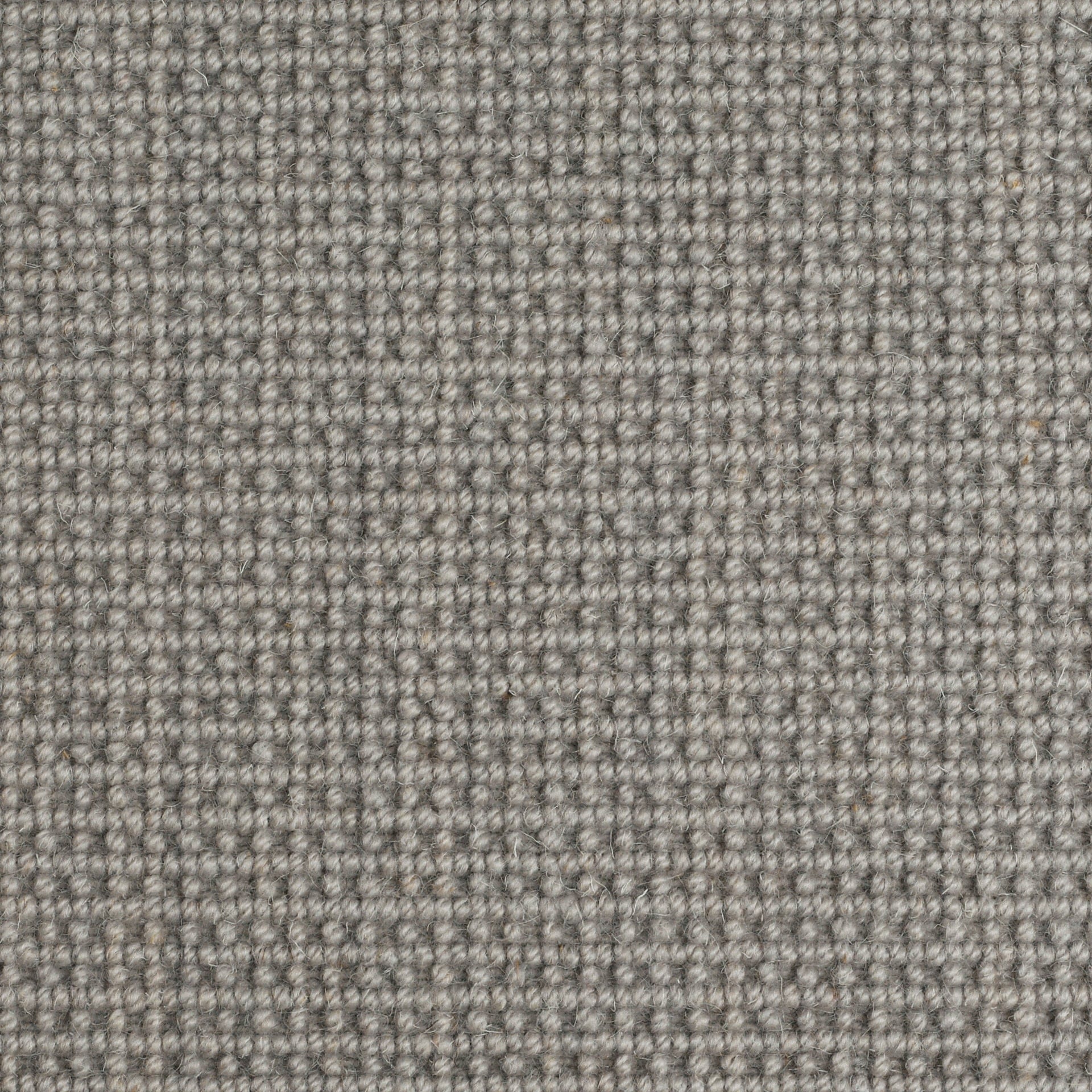 Grand Piazza: Del Campo - 100% Wool Carpet