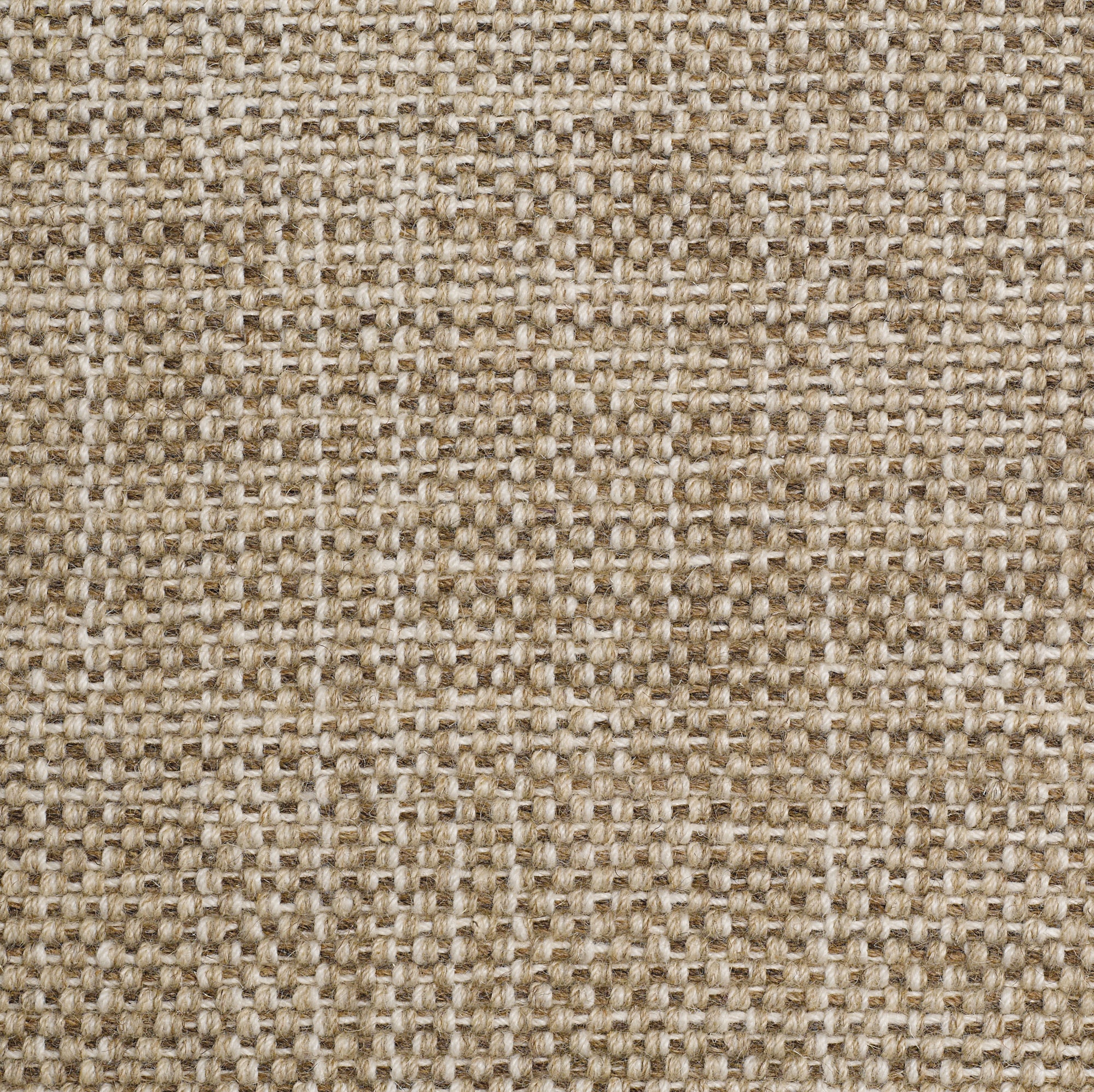 Milano: Marrone - 100% Wool Carpet