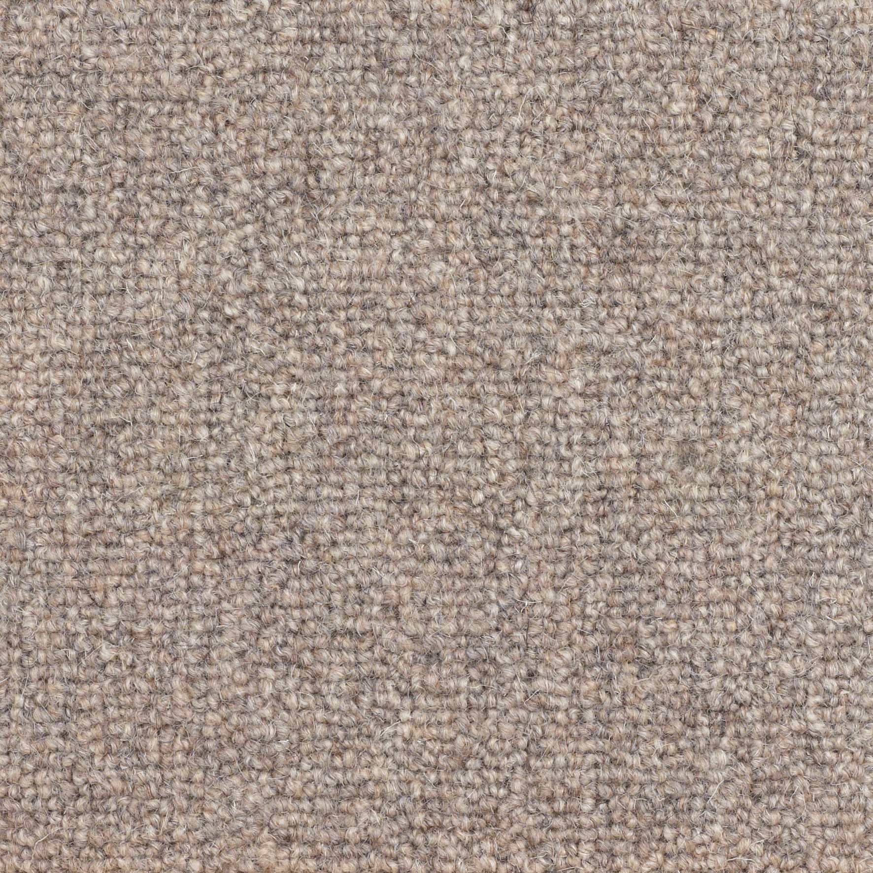 Mountain: Stony Path - 100% Wool Carpet