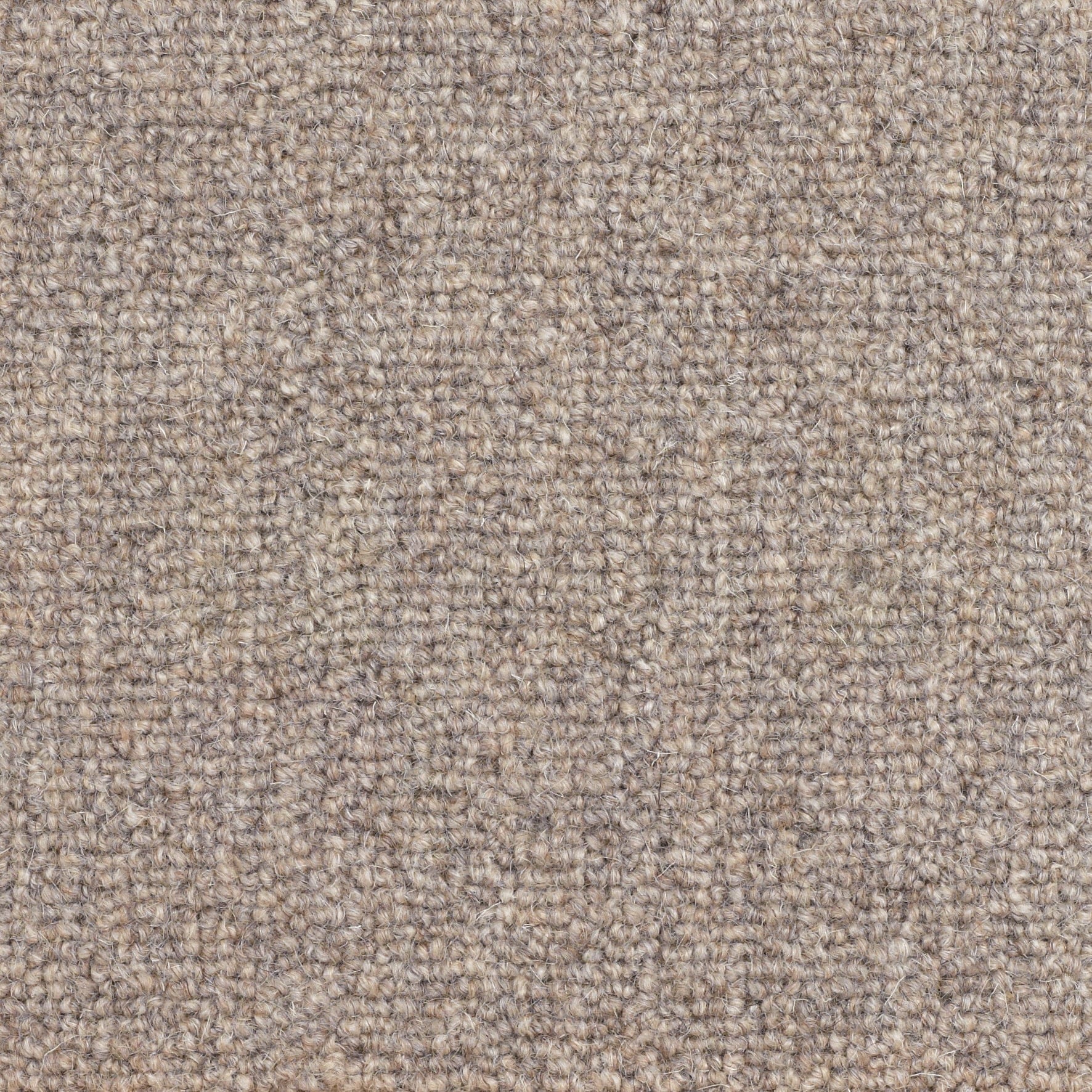 Mountain: Stony Path - 100% Wool Carpet