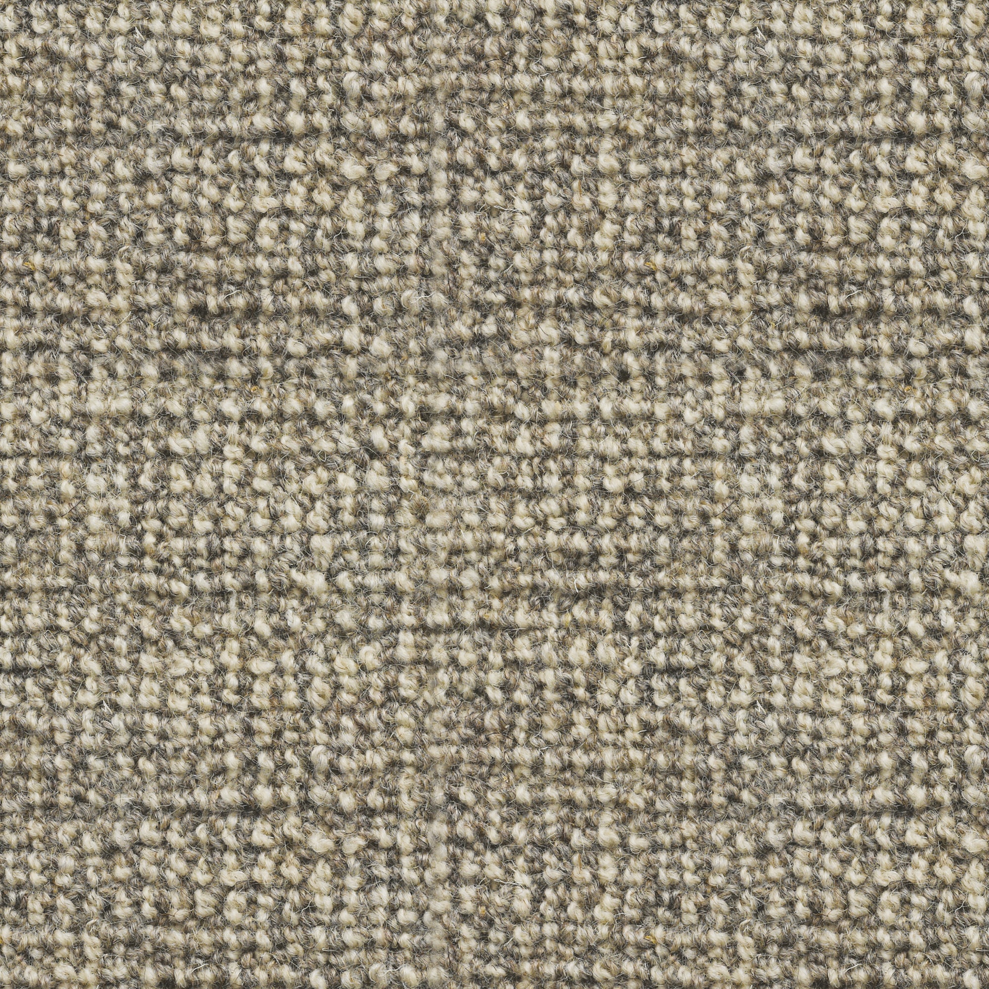 Rustic Croft: Cobble Stone - 100% Wool Carpet