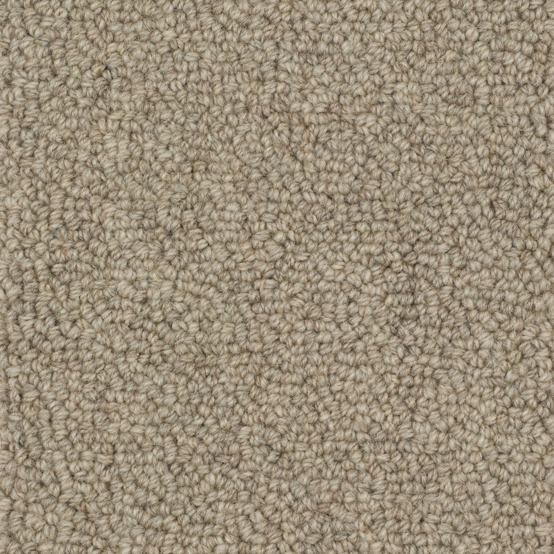 Shetland Weave: Lang Ayre - 100% Wool Carpet