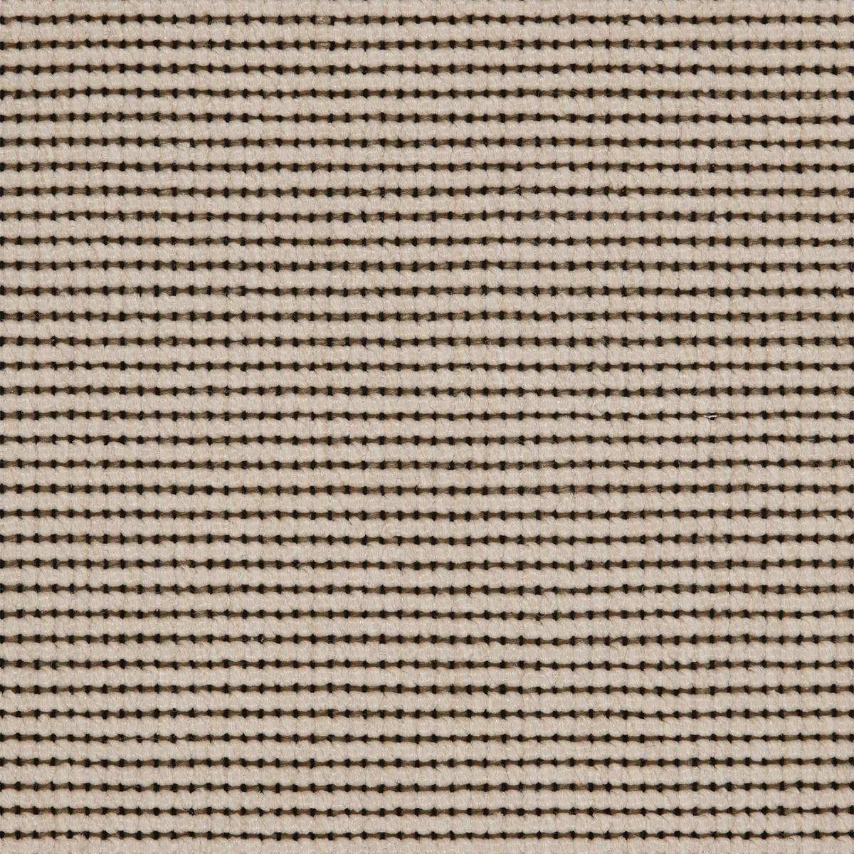 Livorno: Cream - 100% TufStrand Polypropylene Carpet