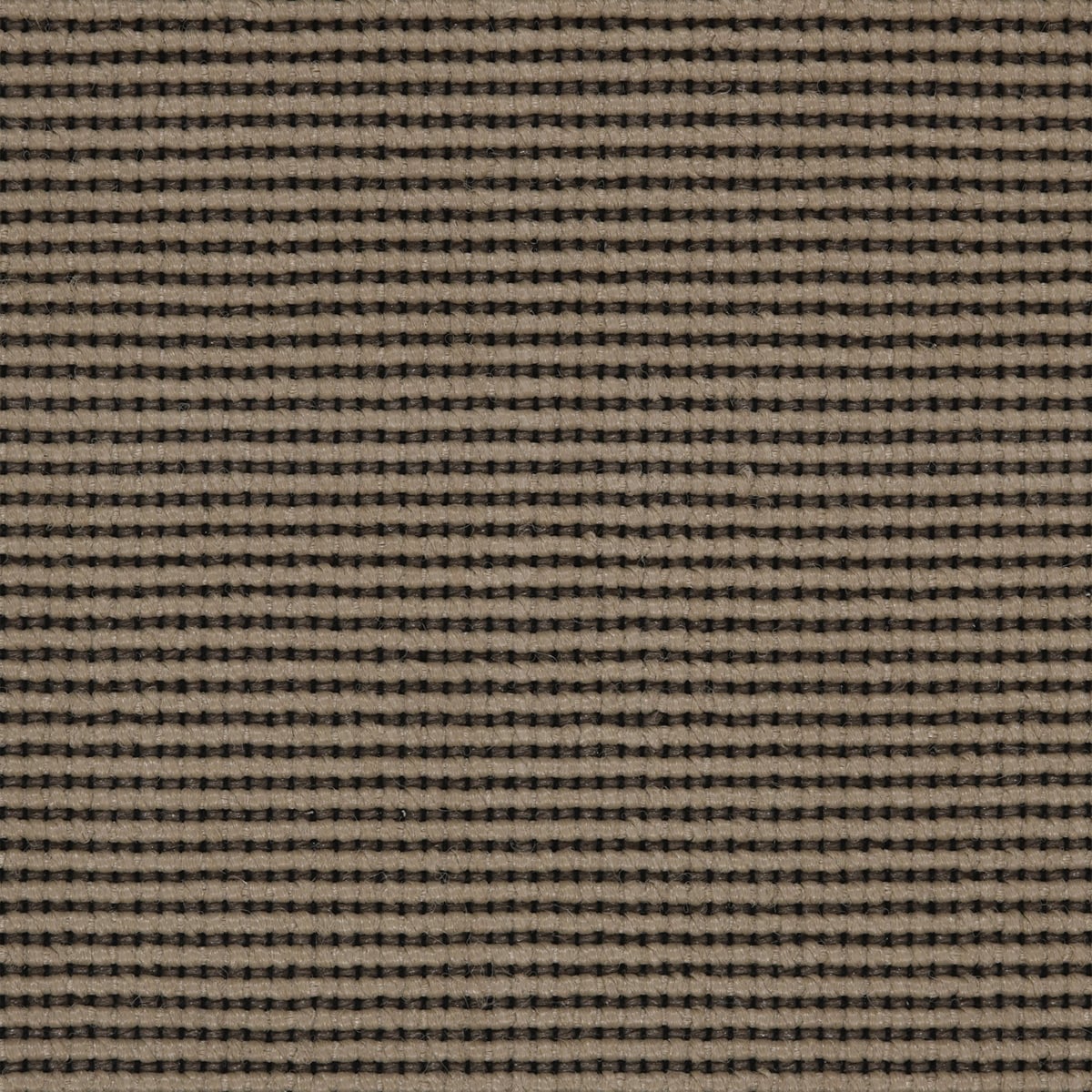 Livorno: Hazelwood - 100% TufStrand™ Polypropylene Carpet