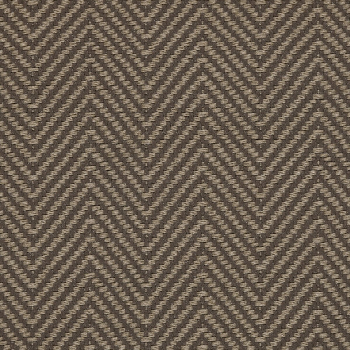 Livorno: Coffee - 100% TufStrand Polypropylene Carpet