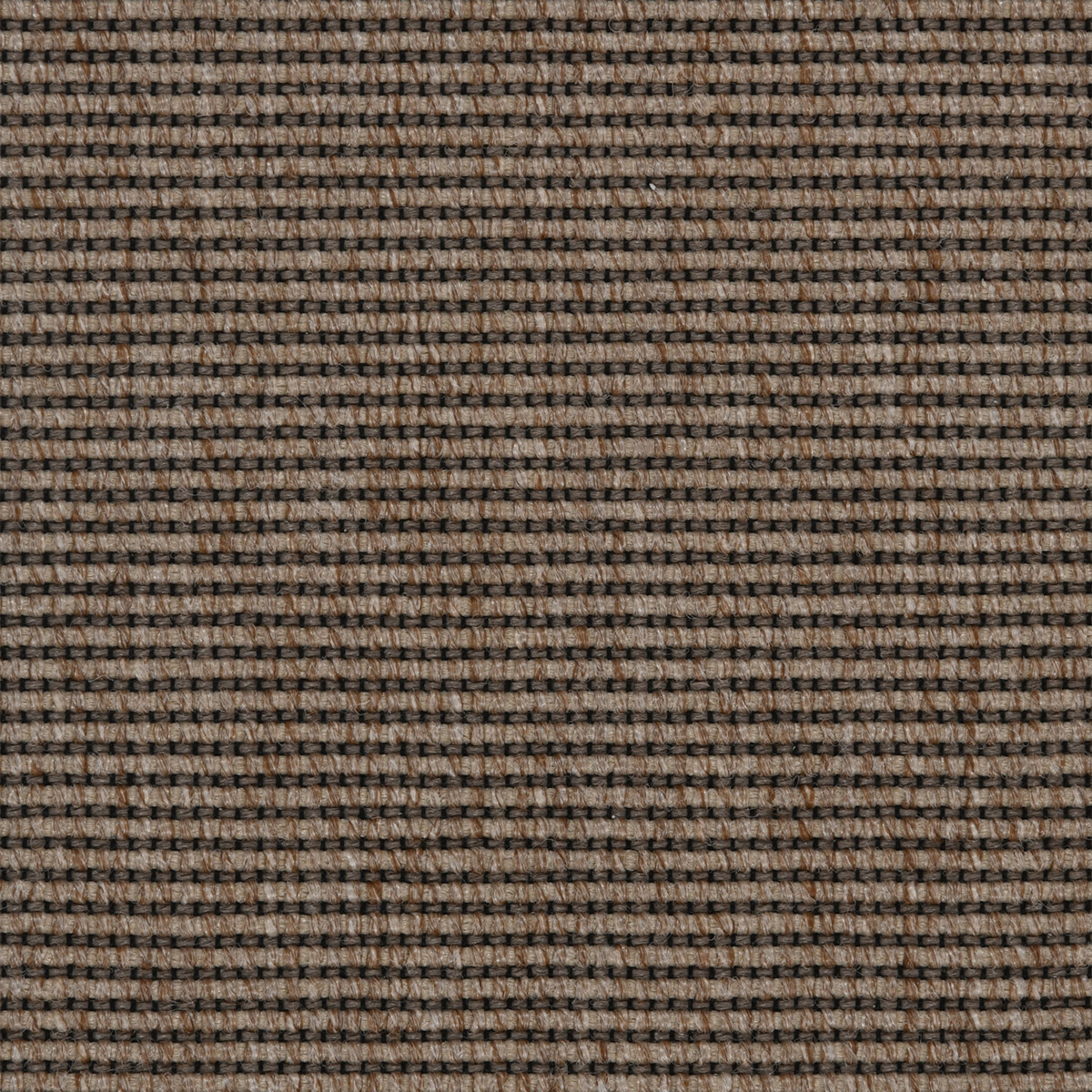 Medina: Peanut - 100% TufStrand® Polypropylene Carpet