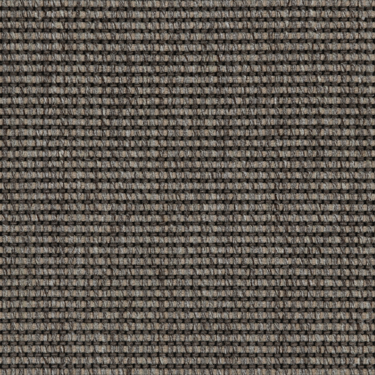 Medina: Pewter - 100% TufStrand Polypropylene Carpet