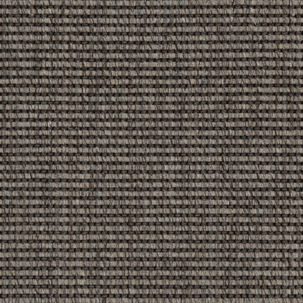 Medina: Pewter - 100% TufStrand™ Polypropylene Carpet