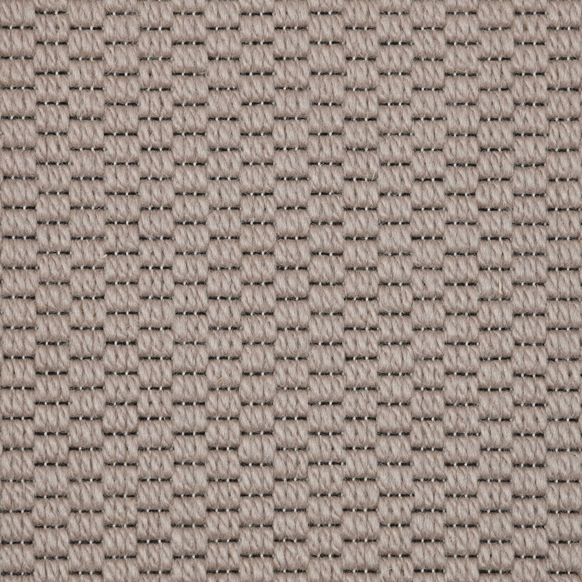 Turin: Camel - 100% New Zealand Wool Carpet