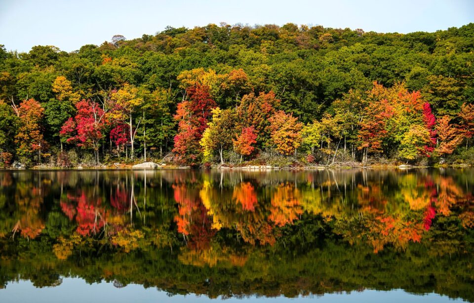 Autumn 2025: Interior Designer Trends