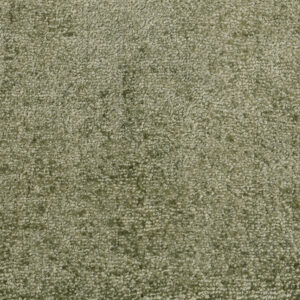 Misty MossFiesta: Champagne Fizz - 100% Nylon Carpet